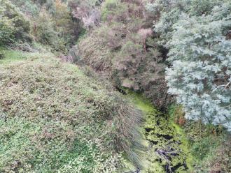 View looking north from bridge