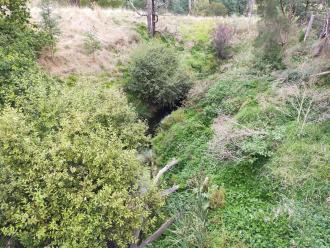 View looking south from bridge