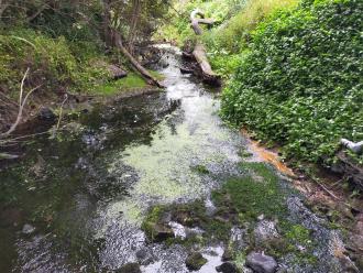 View looking south under bridge