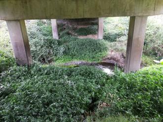 View looking east under bridge