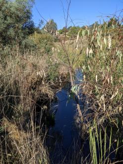 upstream