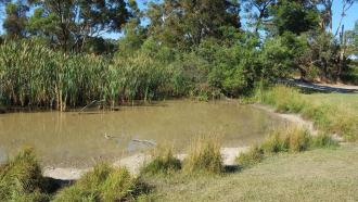 Water level low