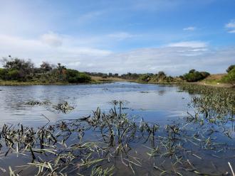 Photo taken at sampling point