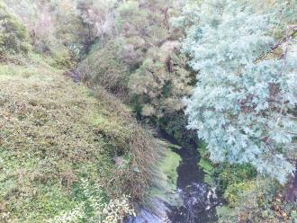 view north from bridge