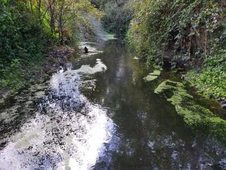 View north under bridge