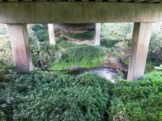 View east under bridge