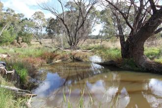 Down stream
