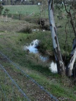 channel 500m north of Stewarts Lane, taken on 3-05-2022