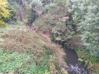 View looking north from bridge