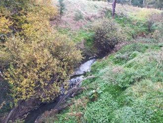 View looking south from bridge