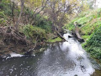 View looking south under bridge