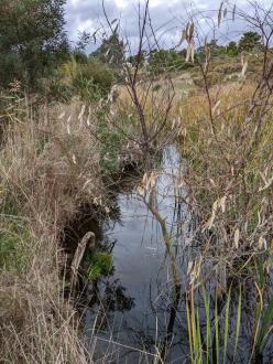 upstream