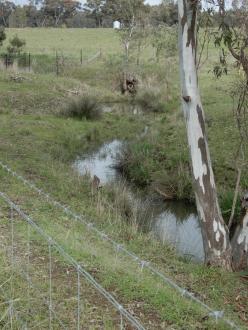 Channel 500m north of Stewarts Lane. Taken on 4/06/22, looking south.