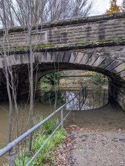 Five Mile Creek at Children's Park downstream