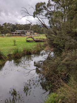 Five Mile Creek at Reserve downstream