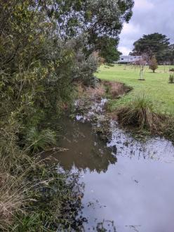 Five Mile Creek at Reserve upstream