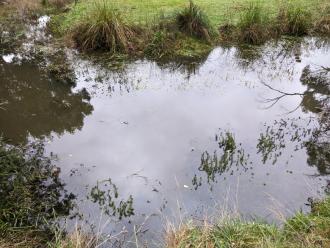 Five Mile Creek at Reserve