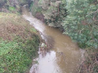 View looking north from bridge