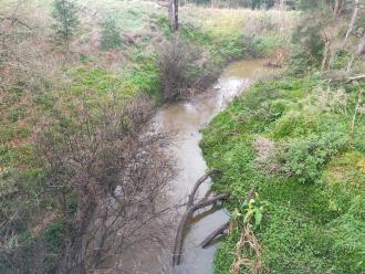 View looking south from bridge