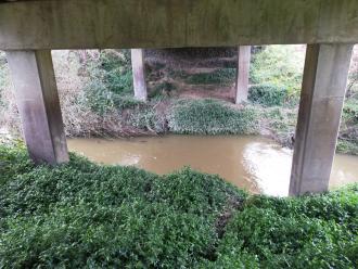 View looking east under bridge