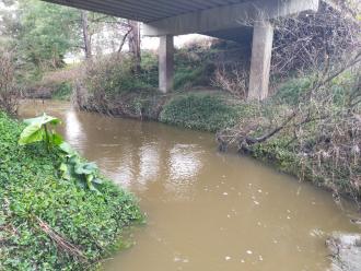 View looking north under bridge