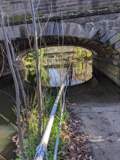 Five Mile Creek at Children's Park downstream