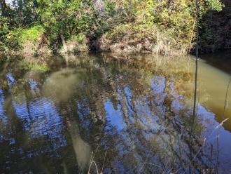 Five Mile Creek at Children's Park