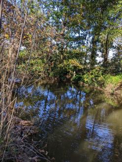 Five Mile Creek at Children's Park Upstream