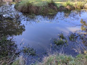 Five Mile Creek at Reserve