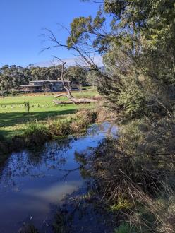 Five Mile Creek at Reserve downstream