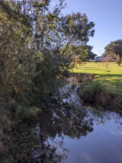 Five Mile Creek at Reserve upstream