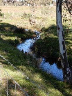 Channel 500m north of Stewarts Lane, taken on 6/07/2022,