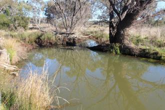 Down stream