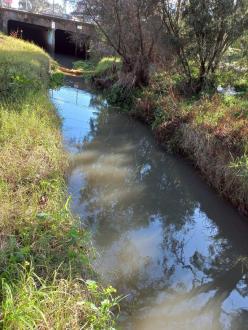 Upstream, MSO670 with litter trap