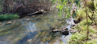 Looking north, downstream.