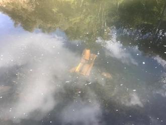 Cardboard in the Wye River at Fishing Platform. Lots of it!