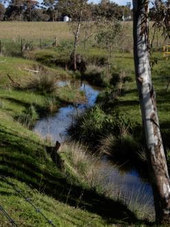 water flwoing in channel 500m north of Stewarts Lane