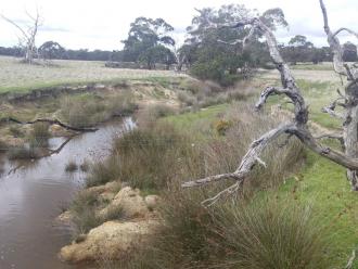 TEA 030 downstream from bridge