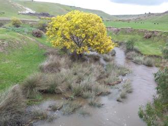 MOE 070 Downstream