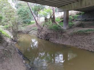 View looking north under bridge