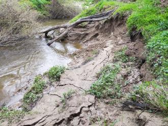 View of bank erosion looking south under bridge