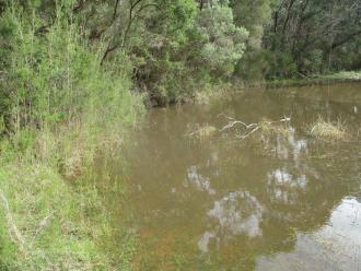 devilsbend creek