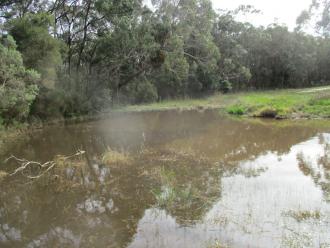 creek and diversion pipe