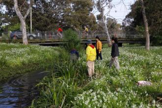 Looking towards Monash Bridge