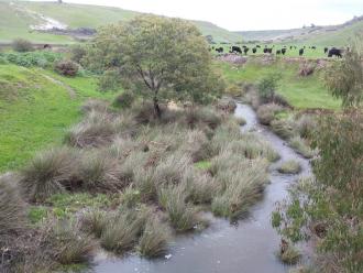 Downstream from bridge