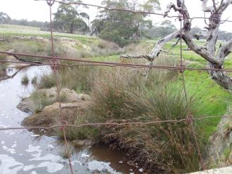 Looking downstream