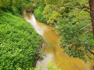 View from bridge looking north