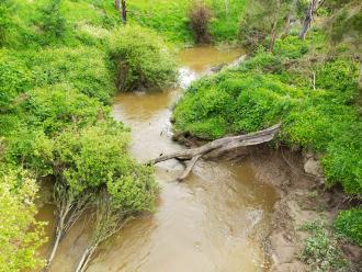 View from bridge looking south