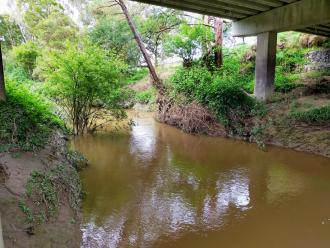 View under bridge looking north