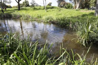 View across stream